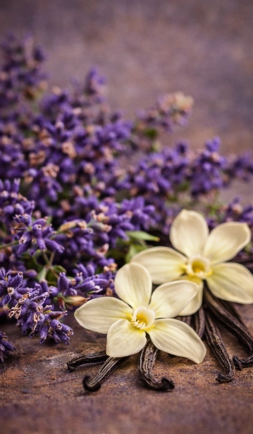 Relaxante & Aromaterapie